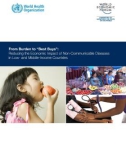 From Burden to 'Best Buys': Reducing the Economic Impact of Non-Communicable Diseases in Low- and Middle-Income Countries