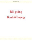 Bài giảng Kinh tế lượng đại cương