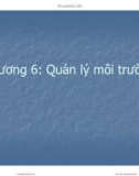 Bài giảng Kinh tế môi trường: Chương 6 - Nguyễn Quang Hồng