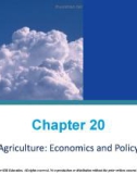 Lecture Macroeconomics (20/e): Chapter 20 - McConnell, Brue, Flynn