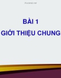 Bài giảng Tin đại cương: Chương 1 - Nguyễn Quỳnh Diệp