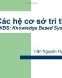 Bài giảng: Các hệ cơ sở tri thức - Trần Nguyên Hương