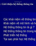 Bài giảng Nhập môn hệ thống thông tin - Bài 1: Giới thiệu hệ thống thông tin