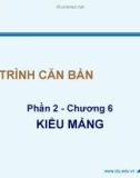 Bài giảng Lập trình căn bản: Chương 6 - Võ Duy Tín