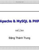 Bài giảng điện tử môn tin học: Apache MySQL PHP