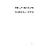 Giáo trình thực hành tin học đại cương