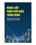 Thiết kế mạng lưới phân phối điện thông minh: Phần 1