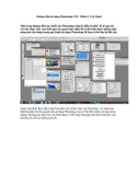 Hướng dẫn sử dụng Photoshop CS5 - Phần 2: Các Panel