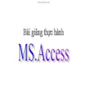 Bài giảng MS ACCESS