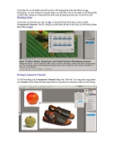 Hướng dẫn sử dụng Photoshop CS5 - Phần 25