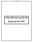 Chèn dấu bản quyền lên hàng loạt file PDF