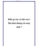 Điều gì xảy ra khi xóa 1 file khỏi thùng rác máy tính ?