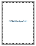 Giới thiệu OpenSSH