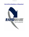 Cách tải file từ Rapidshare và Megaupload