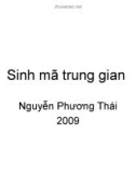 Bài giảng Chương trình dịch: Bài giảng 8 - Nguyễn Phương Thái