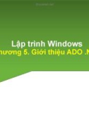 Bài giảng Lập trình trên Windows: Chương 5 - Trần Minh Thái