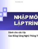 Bài giảng Nhập môn Lập trình: Phần 1