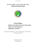 Giáo trình Mài trụ ngoài, mài côn ngoài (Nghề: Cắt gọt kim loại - Cao đẳng) - Trường Cao đẳng Cơ giới (2022)