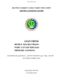 Giáo trình Mài mặt phẳng (Nghề: Cắt gọt kim loại - Cao đẳng) - Trường Cao đẳng Cơ giới (2022)