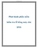 Phát hành phần mềm kiểm tra lỗ hổng máy chủ DNS