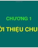 Bài giảng Chương 1: Giới thiệu chung