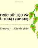 Bài giảng Cấu trúc dữ liệu và giải thuật: Chương 11 - ĐH Bách khoa TP. HCM