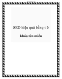 SEO hiệu quả bằng t ừ khóa tên miền