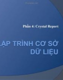 Bài giảng điện tử môn tin học: Crystal Report