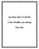 Sự khác biệt về chế độ Color Profile của những bức ảnh