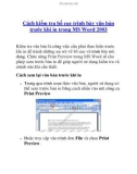 Cách kiểm tra bố cục trình bày văn bản trước khi in trong MS Word 2003