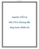 Apache 2 hỗ trợ SSL/TLS: Hướng dẫn từng bước (Phần II)