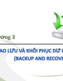 Bài giảng Kiến trúc cài đặt cơ sở dữ liệu - Chương 3: Sao lưu và khôi phục dữ liệu (Backup and recovery)