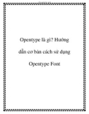 Opentype là gì? Hướng dẫn cơ bản cách sử dụng Opentype Font