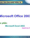 Bài giảng: Microsoft Excel 2003