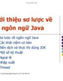 Bài giảng Lập trình mạng: Giới thiệu sơ lược về ngôn ngữ Java - Bùi Minh Quân