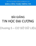 Bài giảng Tin học đại cương: Chương 5 - Lê Minh Thủy