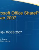 Căn bản về Microsoft Office SharePoint Server - MOSS 2007 (Dạng file ppt)