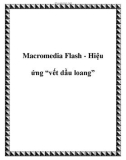 Macromedia Flash - Hiệu ứng vết dầu loang