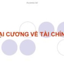 Bài giảng Đại cương về tài chính