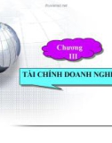 Chương III: Tài chính doanh nghiệp