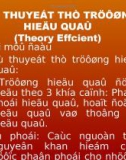 Lý thuyết thị trường hiệu quả