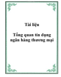 Tài liệu Tổng quan tín dụng ngân hàng thương mại