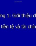 Chương 1: Giới thiệu chung về tiền tệ và tài chính