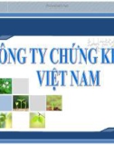 Công ty chứng khoán Việt Nam