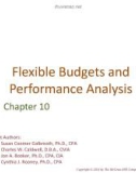 Lecture Managerial accounting for managers (4e) - Chapter 10: Flexible budgets and performance analysis