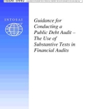 Guidance for Conducting a Public Debt Audit – The Use of Substantive Tests in Financial Audits