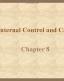 Internal Control and Cash