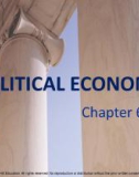 Lecture note Public finance (10th Edition) - Chapter 6: Political economy