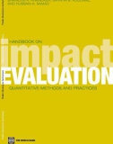 Handbook on Impact Evaluation - Quantitative Methods and Practices