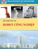 Giáo trình Thực tập Robot công nghiệp: Phần 1